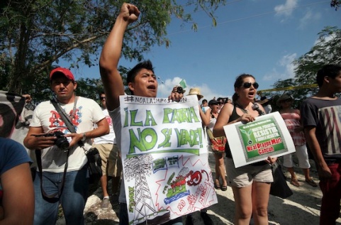 Asociaciones civiles protestaron contra la construcción de Dragon Mart en 2013. Foto: Cuartoscuro.